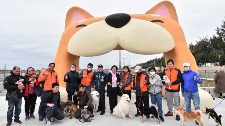 ▲緊鄰彰化縣自然生態教育中心的「嬉濱海豚公園」，以海洋意象元素帶入寵物公園規劃遊憩設施，於今天竣工啟用。（記者林郁芯翻攝）